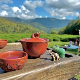 Мастер-класс на природе: творим, вдохновляясь горами