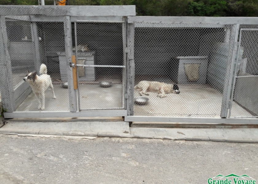 1470713093_20160730_165139-1-1