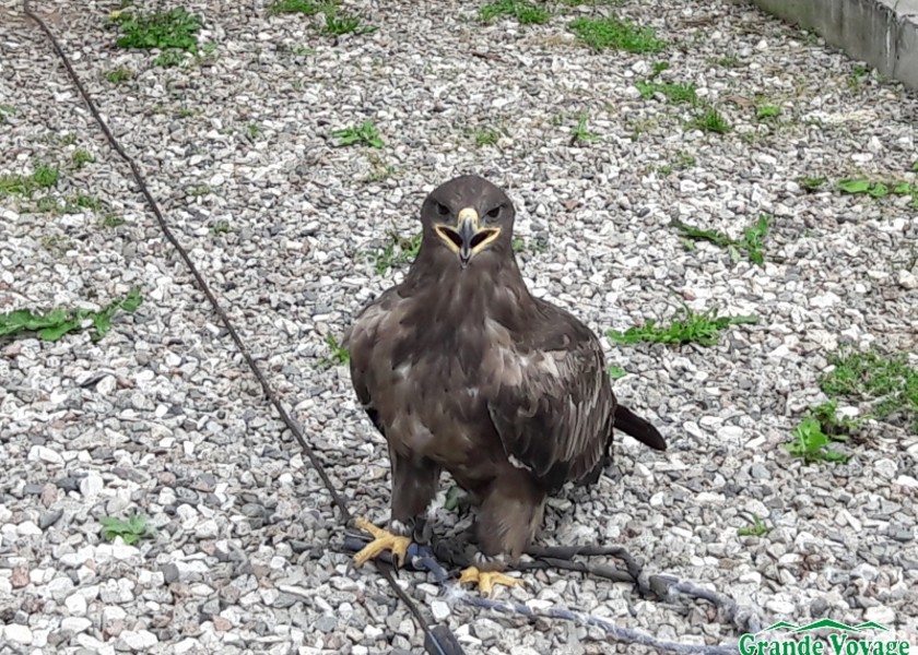 1470713112_20160730_164333-1