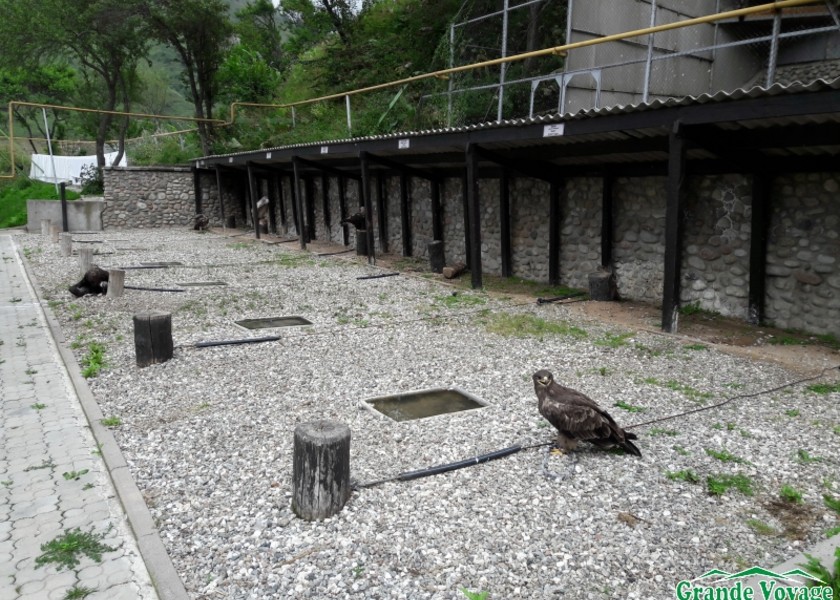 1470713137_20160730_164223-1-1-1