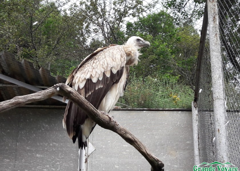 1470713158_20160730_164609-1-1