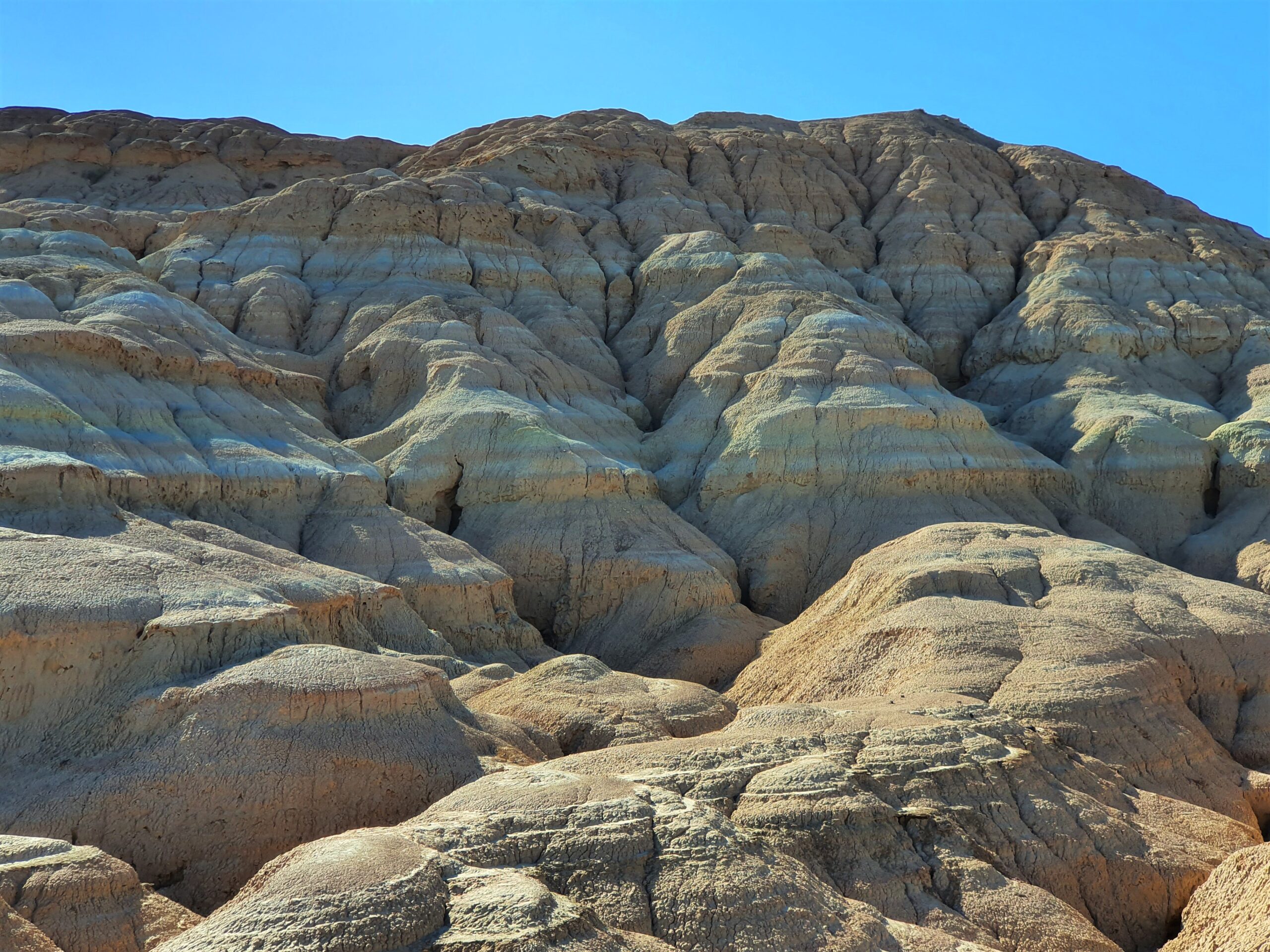 20201007_145134-scaled