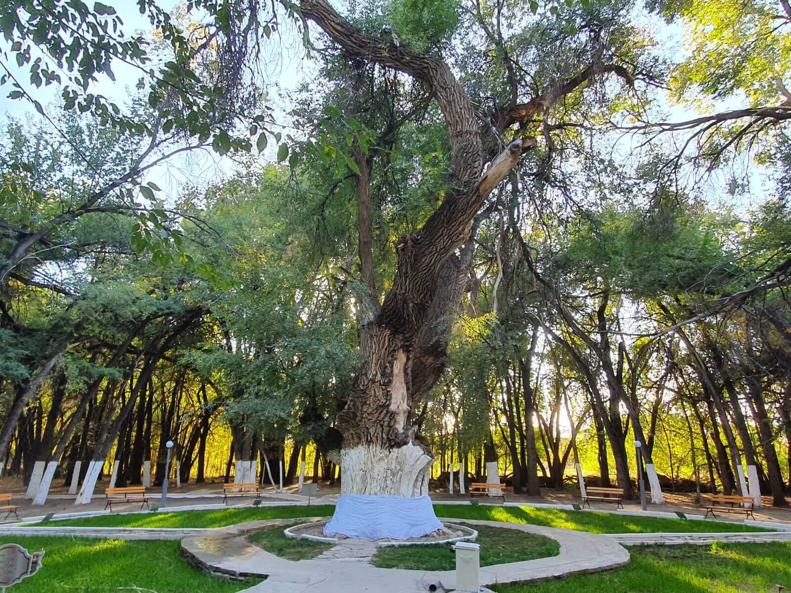 80eb19b6-af43-439c-9607-05346441d537