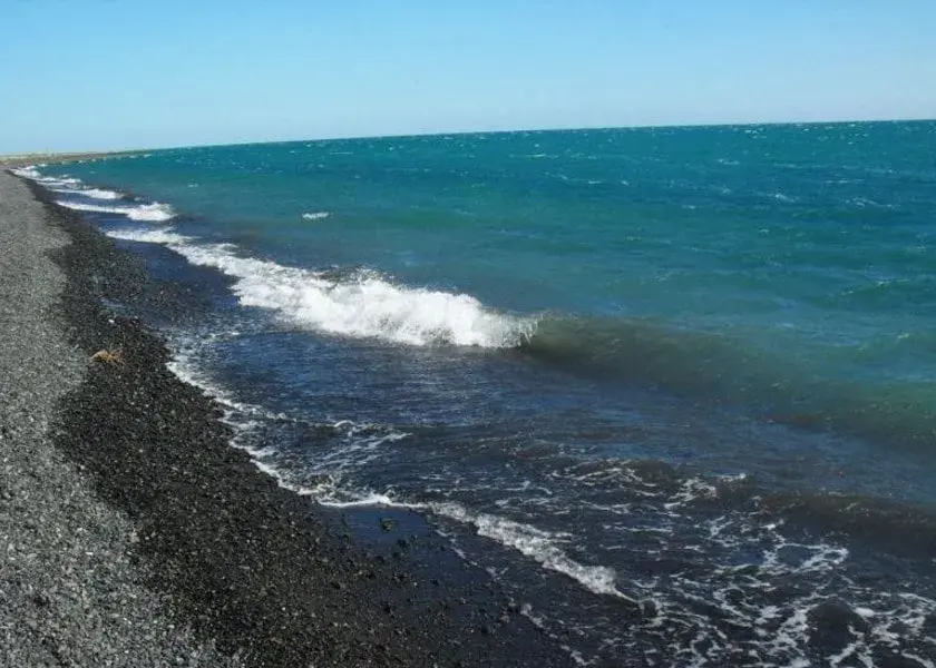 840-600img6523_1453270998-1-min