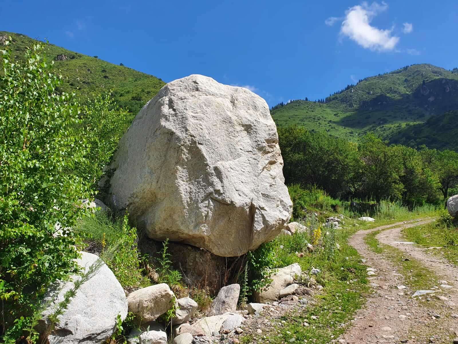 9c14551b-b2f8-465e-8262-57ebf08b8fab