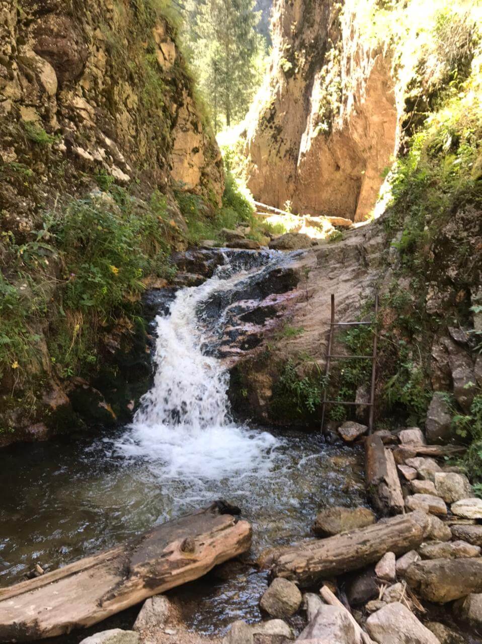 d7ee140c-9772-4164-bcaf-2c0c9200e702-3