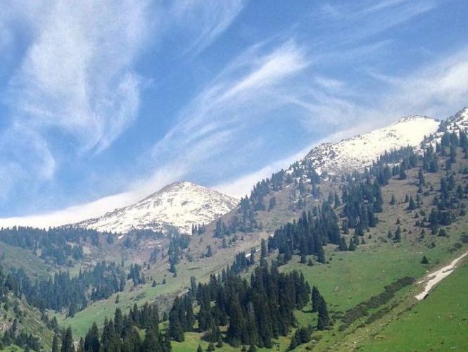 furmanovka-s-insty2-1000x500-1