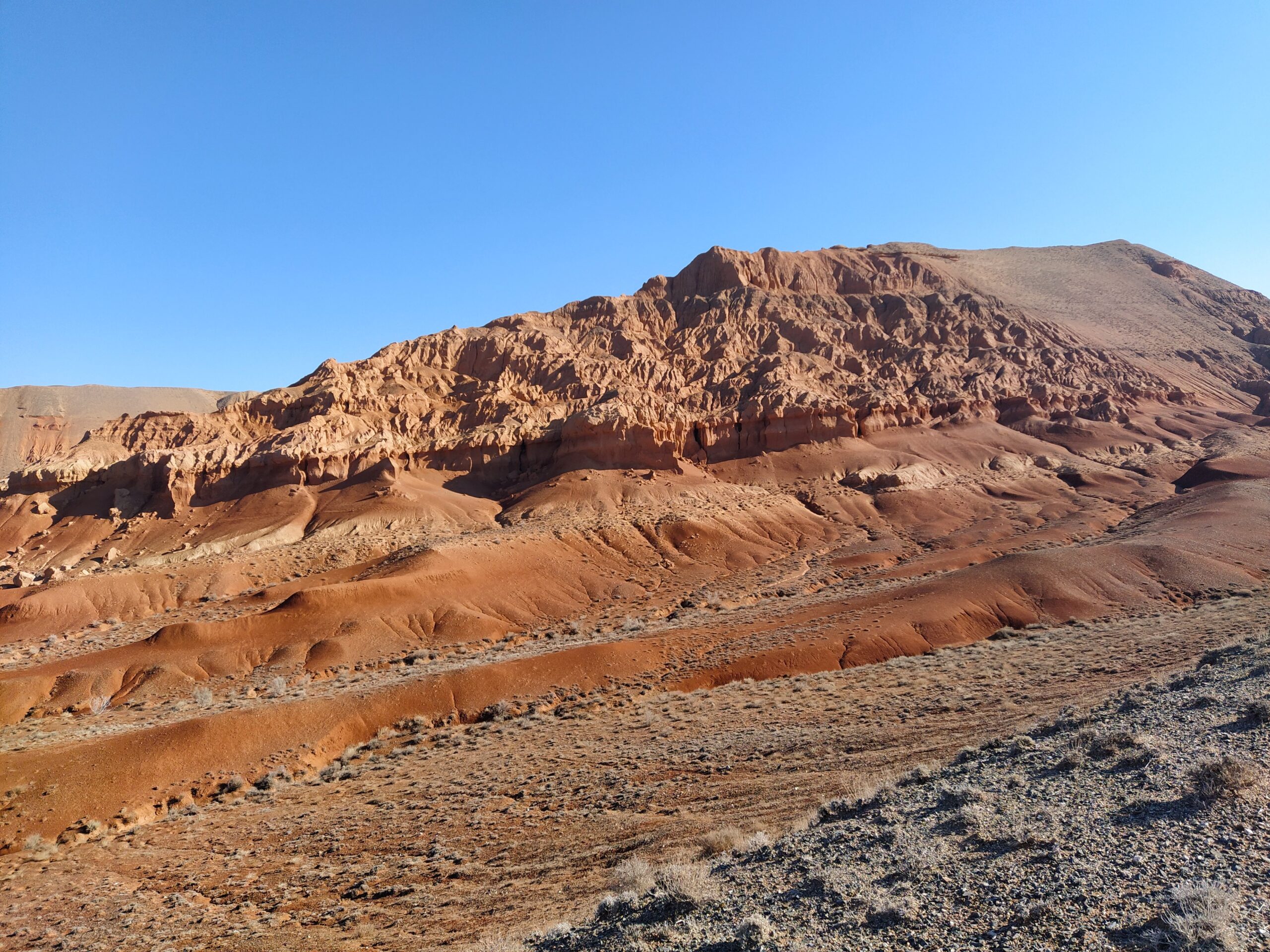 img_20201007_094002-scaled