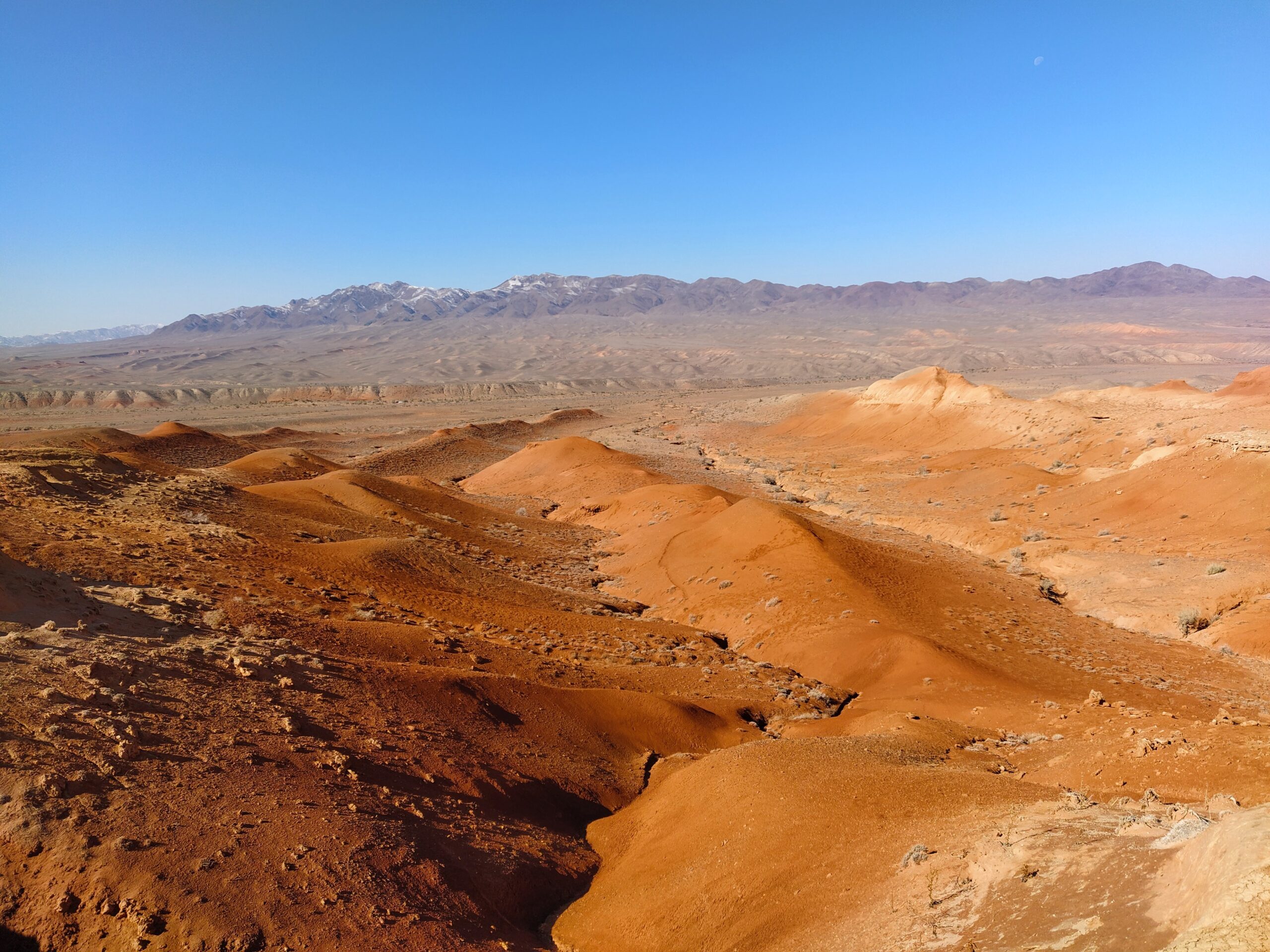 img_20201007_102723-scaled