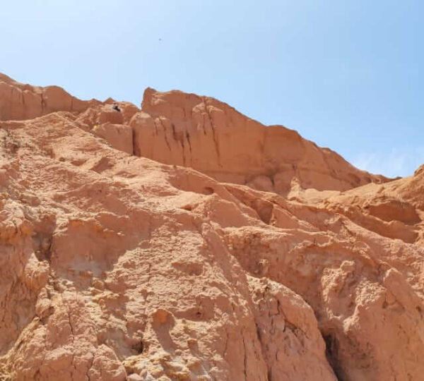 photo_2023-06-06_22-55-17-2-600x540