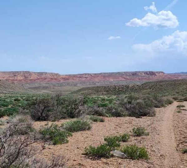 photo_2023-06-06_22-55-26