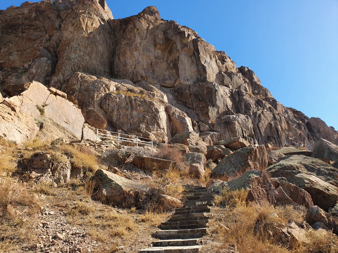 whatsapp-image-2021-01-06-at-15.19.44-1-1