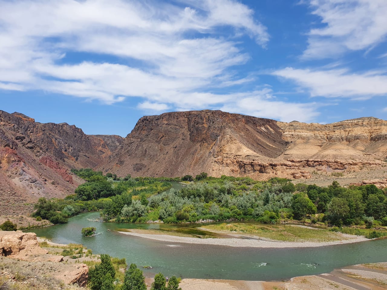 whatsapp-image-2021-02-22-at-13.43.14-1-1